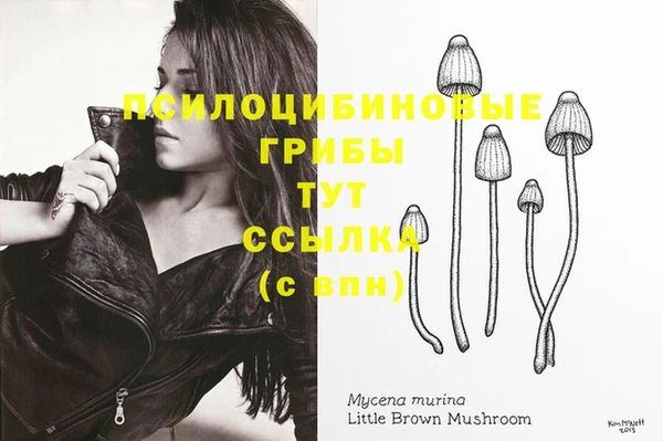 гашиш Абаза