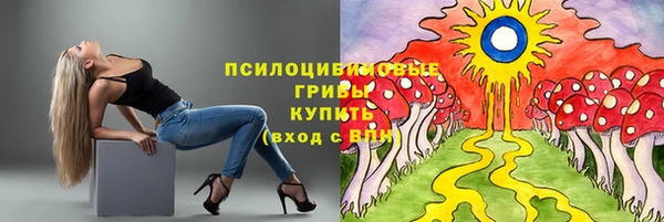 дмт Абинск