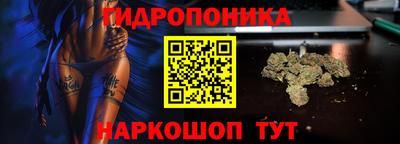 стафф Новодвинск