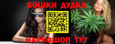 стафф Новодвинск
